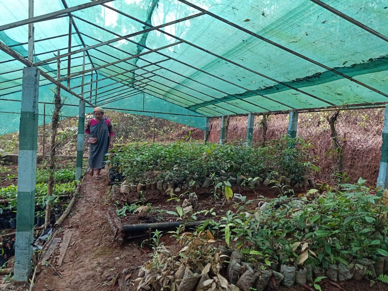 C:\Users\Lavinia Pde\Downloads\WhatsApp Image 2023-03-31 at 11.10.45.jpeg